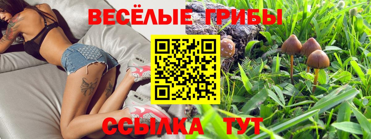 Тельмана  Галлюциногенные грибы мицелий  цена наркотик  Вход с VPN 