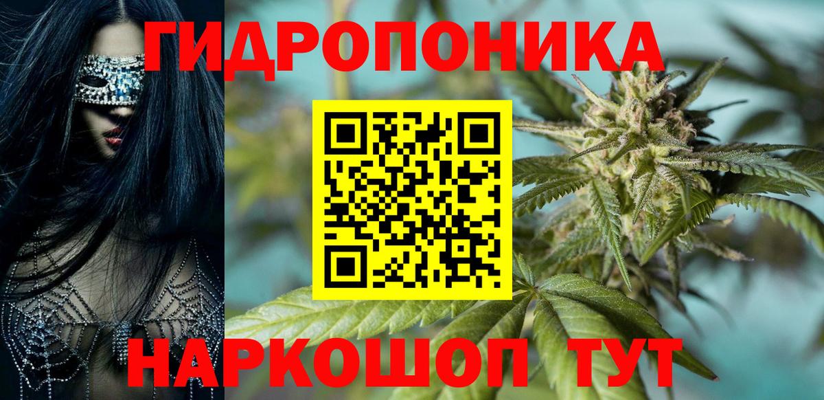 Тельмана  Шишки марихуана AK-47  Бошки марихуана конопля  Канабис THC 21%  Канабис сатива  Вход с VPN 